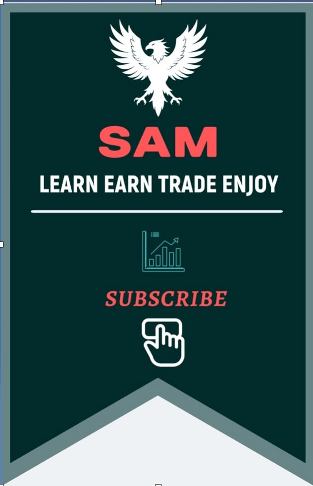 learn_fin_with_sam